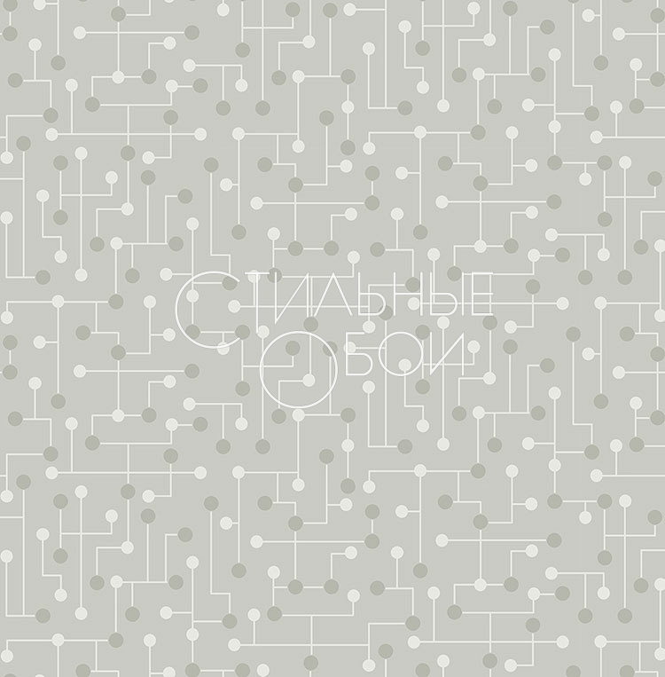 bw21427