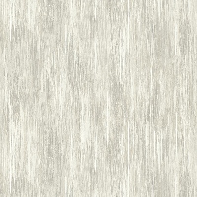 nv61905