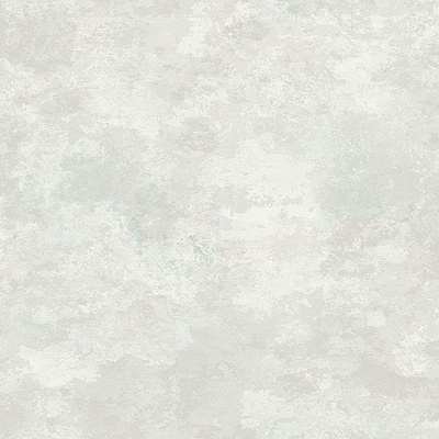 ms91204