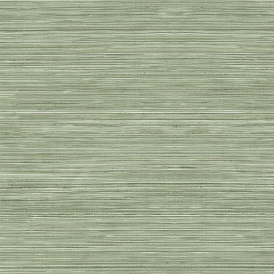 rc10338