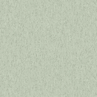 rc10004