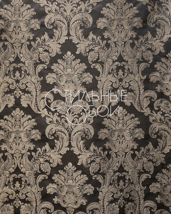veronica-grey