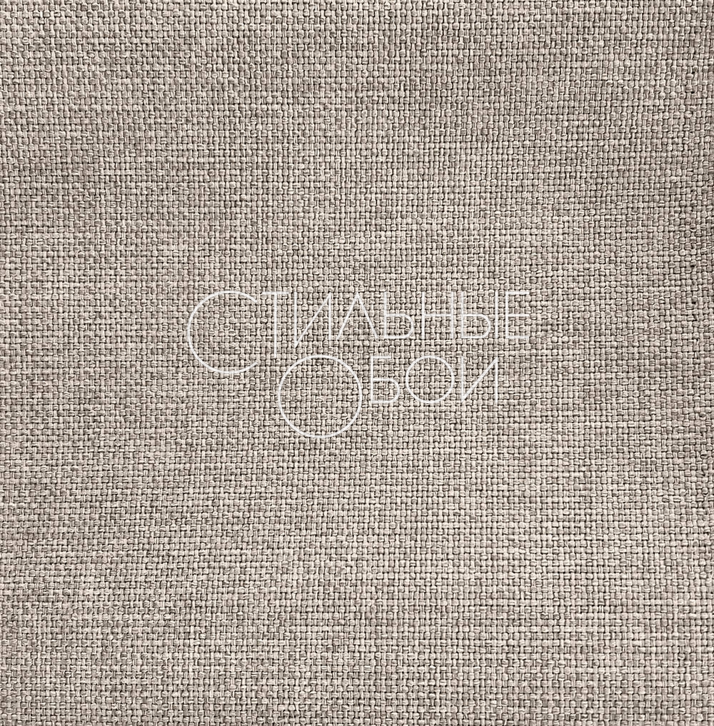 charliz-11