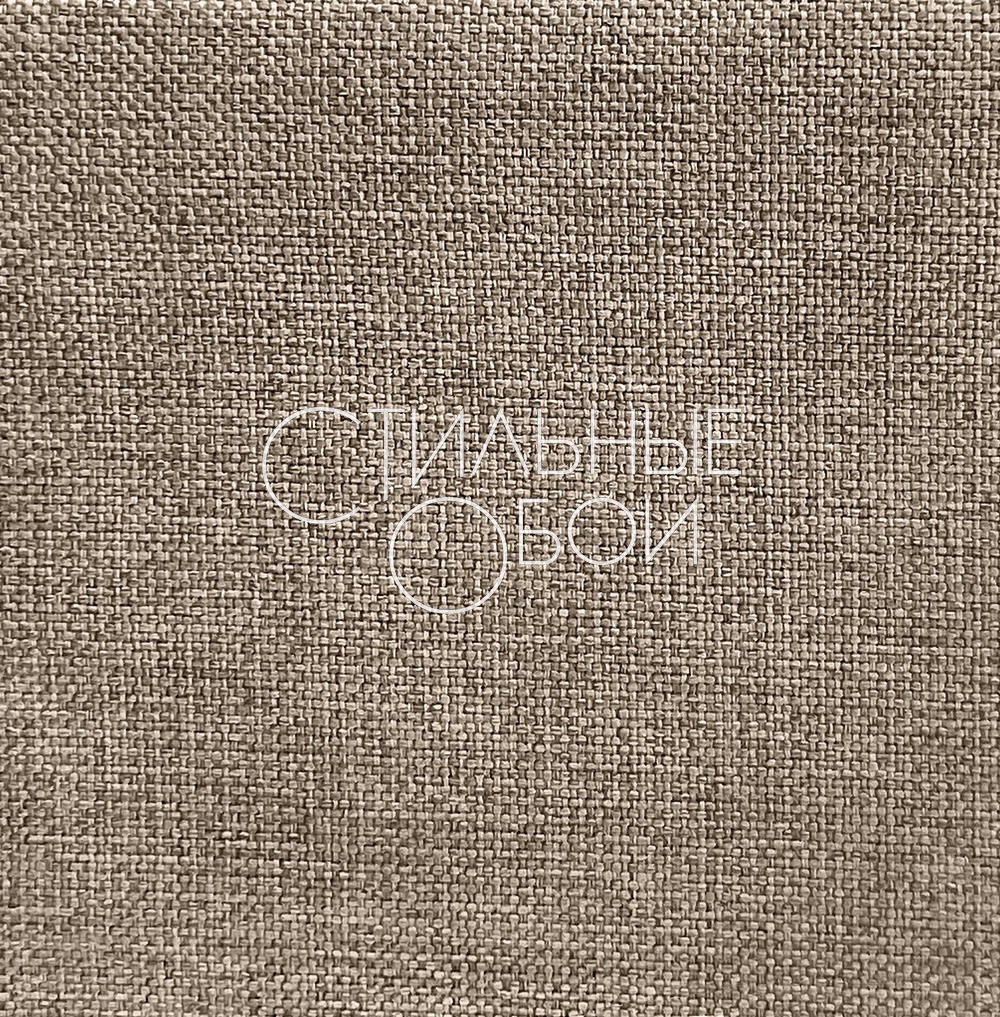 charliz-19