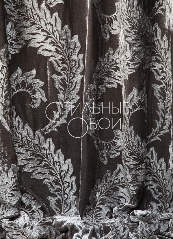 Dahlia grey