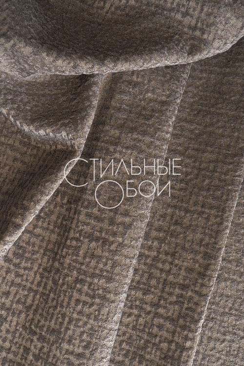 chloe-grey