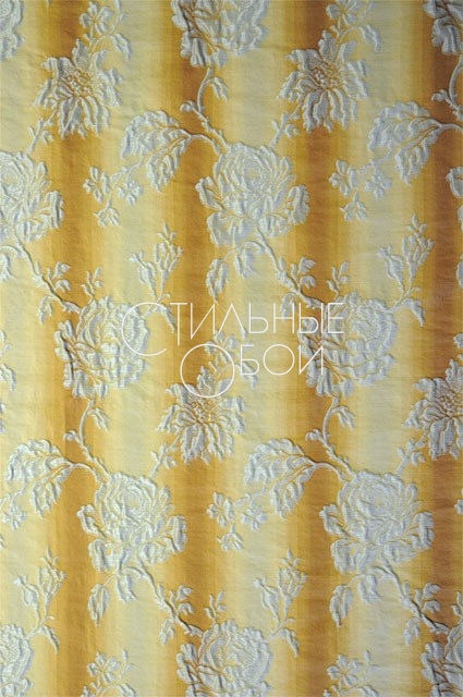 Jennifer Beige_Braun