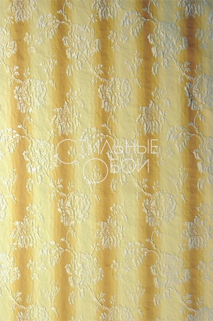 Jennifer Creme_Braun