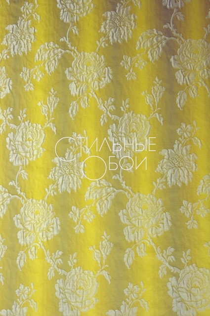 Jennifer Grune_Olive