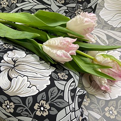 pimpernel grey black-roomset2