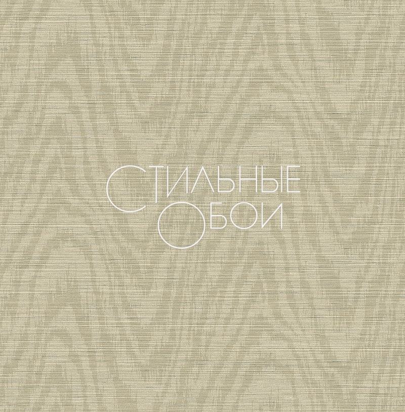 cl21905 cl21905
