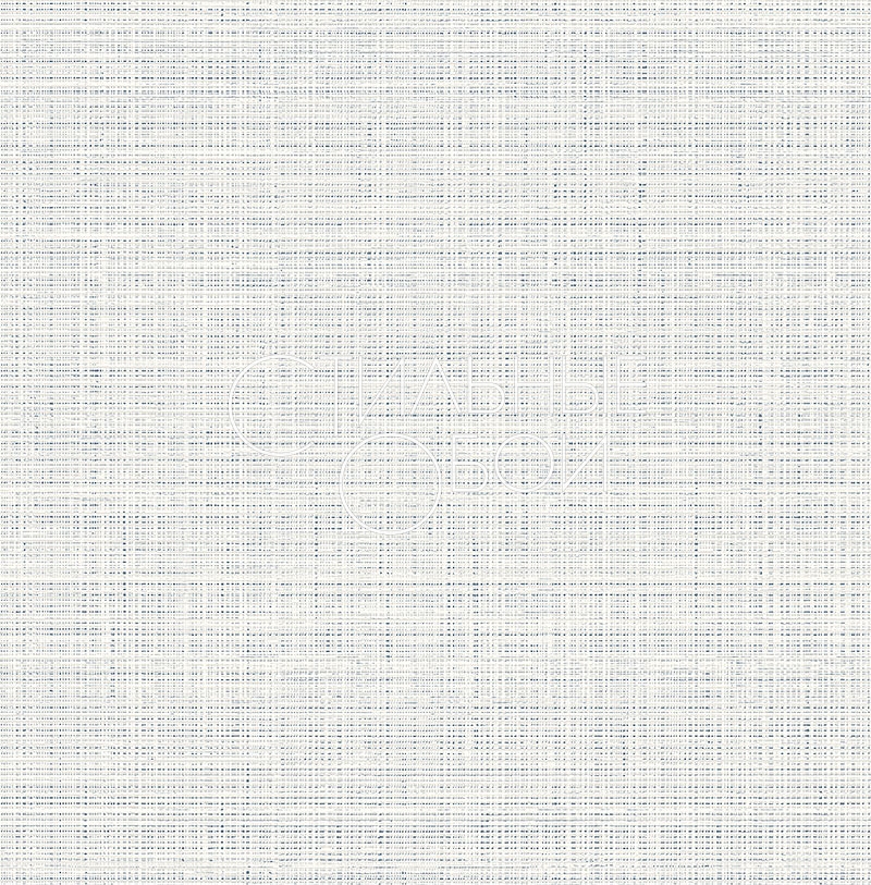 cl21004 cl21004