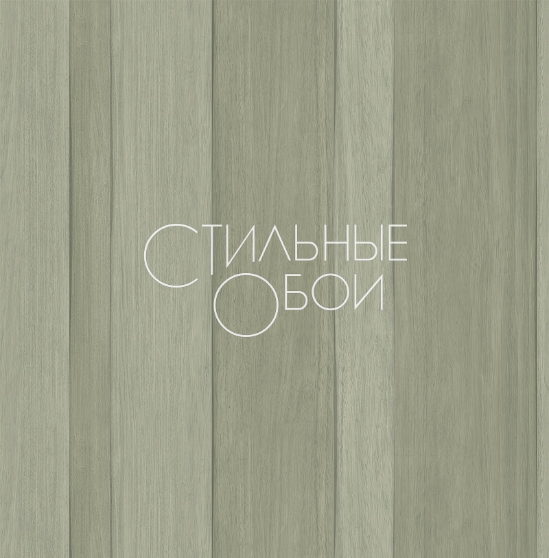 cl20804 cl20804