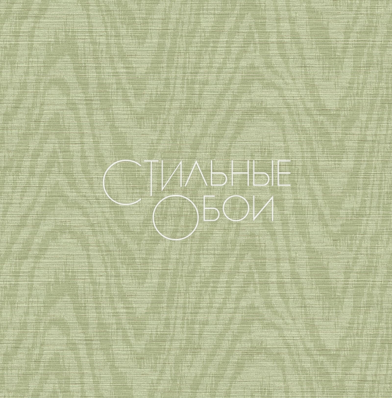 cl21904 cl21904