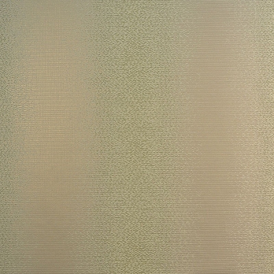 FS1303