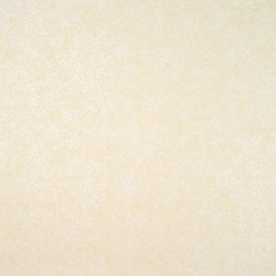 24737