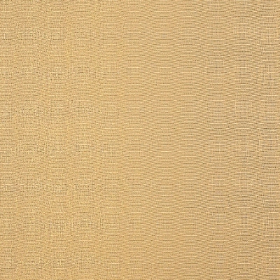 kte04009