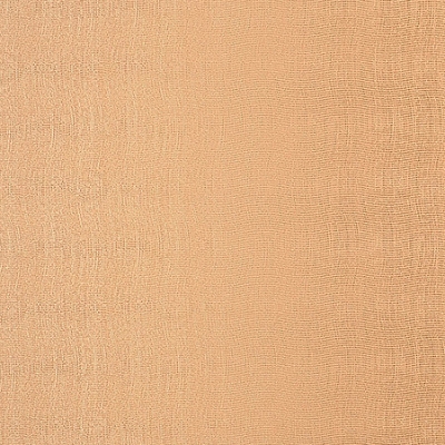 kte04006