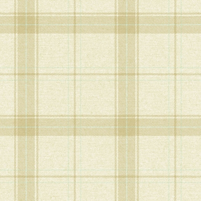 vf21009