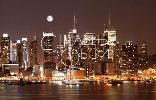 CL08A CL08A