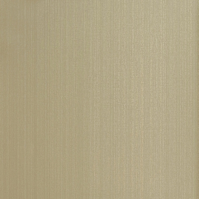 FS3021